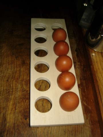 Egg Rack.JPG